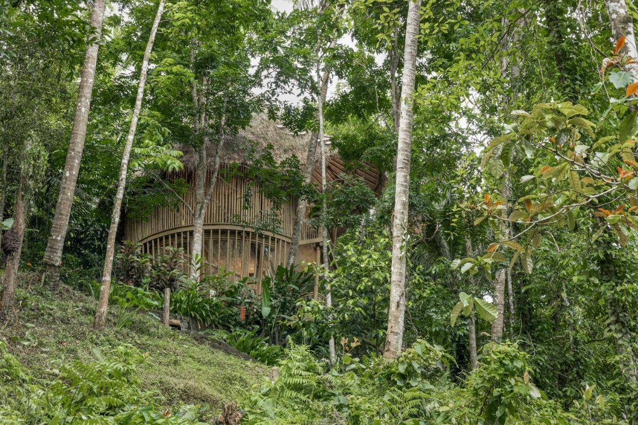 Amarta Pesagi Retreat Tabanan Villa Exterior foto